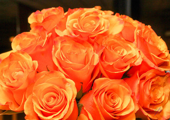 Bouquet of Orange Roses