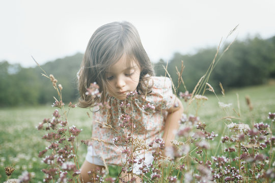 Little girl smelling flowers in a field