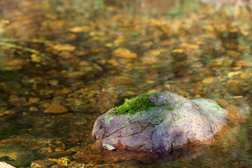 Stone with moss on the river