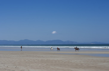 horse riding on the beach