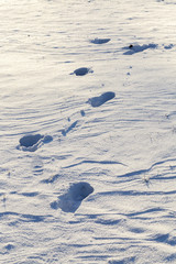 Winter season