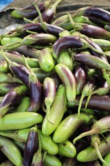 Fresh eggplant purple organic in the market