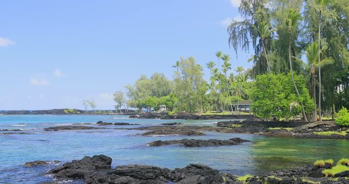 Hawaiian tropical volcanic rock beach. Destination for swimming, scuba and snorkel, underwater fish and coral. Big Island, largest, most volcanic active. Economy is tourism based. Water and tropical.