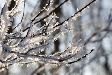 glowing crystals frost