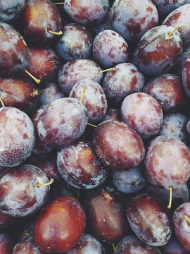 Pile of organic plums for sale at farmer's market, Seattle, WA