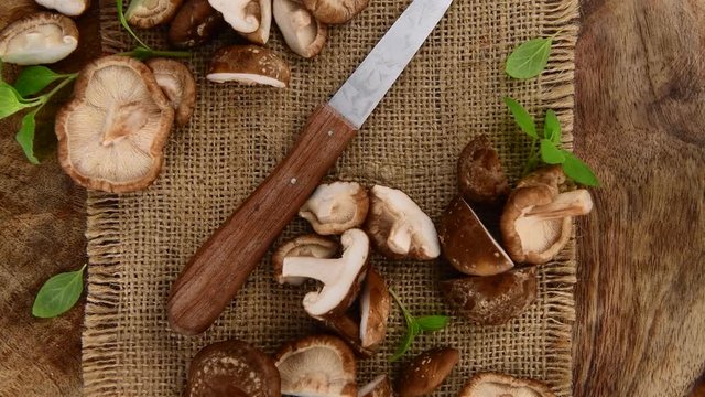 Shiitake mushrooms as seamless loopable rotating 4K UHD footage