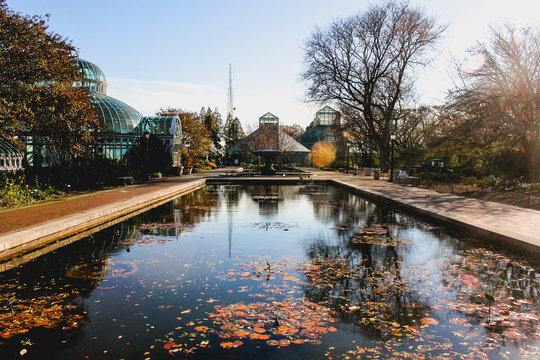 Brooklyn Botanic Garden