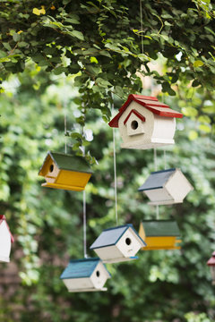 Colorful small wooden birdhouses hanging on tree for decoration.