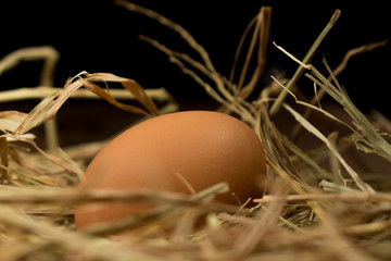 egg. straw. on wood.  black background
