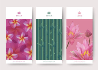 Branding Packaging lotus and frangipani flower and bamboo tree abstract background, logo banner voucher, vector illustration