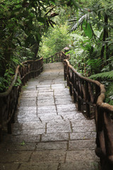 Trail into forest in Costa Rica