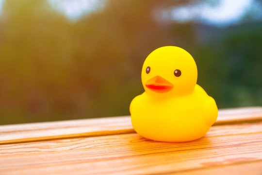 Yellow rubber duck over wooden board