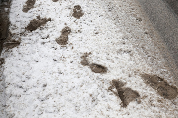 Traces on the snow