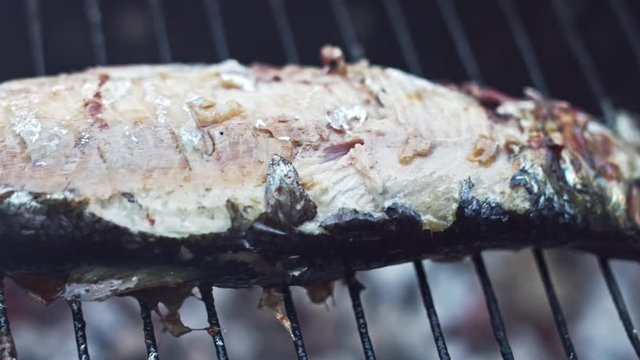 4k Grill Cooking Barbecue Fish, dolly