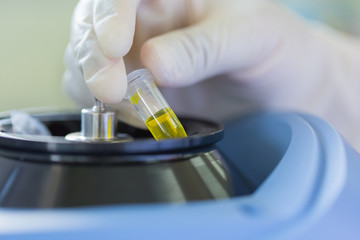 Scientist putting test tube into centrifuge