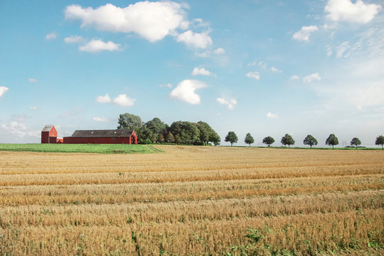 Swedish country side with harvested fields and red barn, close to Lund