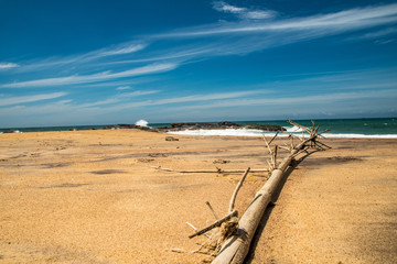 Sandy beach with foreground