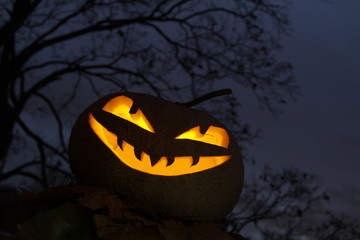 K&uuml;rbisfratze / Halloween / Dunkelheit 