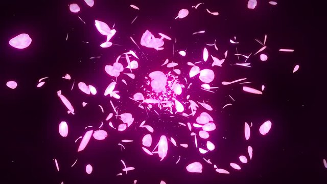 桜 花びら 舞う 満開 ループ