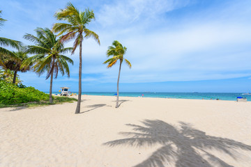 Paradise beach at Fort Lauderdale in Florida on a beautiful sumer day. Tropical beach with palms at white beach. USA. - obrazy, fototapety, plakaty