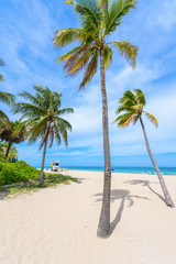 Fototapeta na wymiar Paradise beach at Fort Lauderdale in Florida on a beautiful sumer day. Tropical beach with palms at white beach. USA.