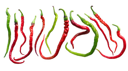 Bangalore whippet's tail chile peppers, paths