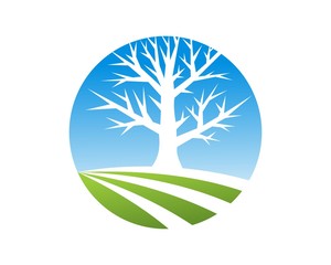 Obraz premium life tree solution