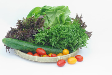 Vegetables such as cherry tomatoes, japan cucumber, red amd green lollo lettuce and butterhead lettuce in a wicker tray on isolated white background