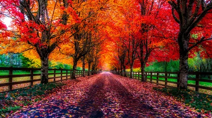 Photo sur Plexiglas Paysage October Colors