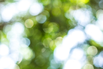 Green bokeh