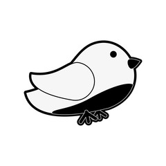Bird cute cartoon icon image vector illustration design
