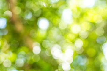 Green bokeh
