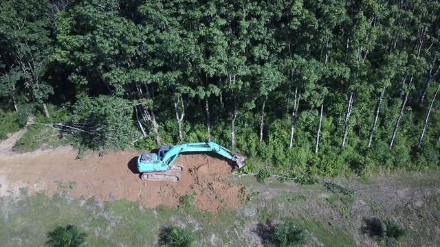 Deforestation. Logging. Excavator fells trees in rainforest to make way for oil palm plantations