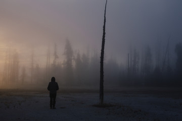 Man stands alone is a spooky forest