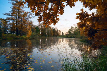 Obraz premium Oak dry leaves on the lake.