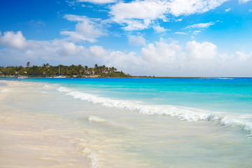 Fototapeta premium Akumal Caribbean beach in Riviera Maya