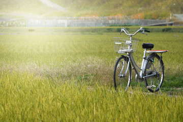 Bicycle in a field, Japan