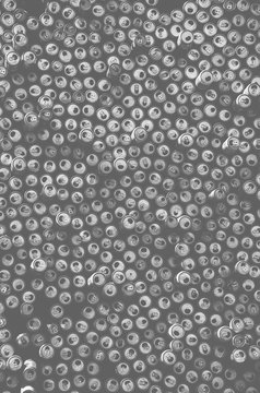 Black and white pattern background made of huge amount of empty soda cans