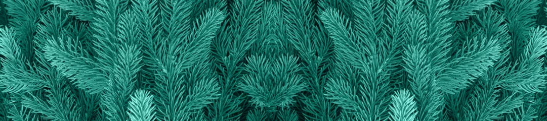 Crédence de cuisine en verre imprimé Arbres panorama  conifer evergreen fir trees