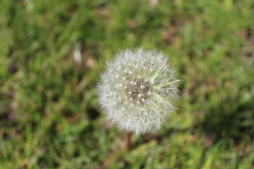 The beautiful Danish landscape