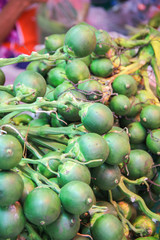 Betel nut palm bunch