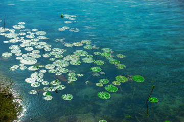 Laguna de Bacalar Lagoon in Mayan Mexico © lunamarina