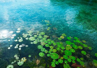 Fototapeta na wymiar Laguna de Bacalar Lagoon in Mayan Mexico