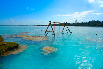 Fototapeta premium Stromatolites in Bacalar Lagoon of Mexico
