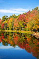Colorful foliage reflections in pond water on a sunny autumn day in New England