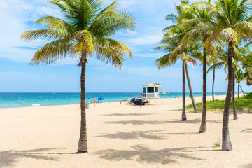 Obraz na płótnie Canvas Paradise beach at Fort Lauderdale in Florida on a beautiful sumer day. Tropical beach with palms at white beach. USA.