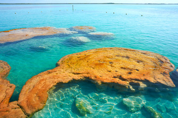 Stromatolites in Bacalar Lagoon of Mexico © lunamarina