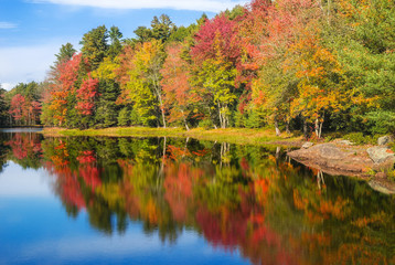 Colorful foliage reflections in pond water on a sunny autumn day in New England