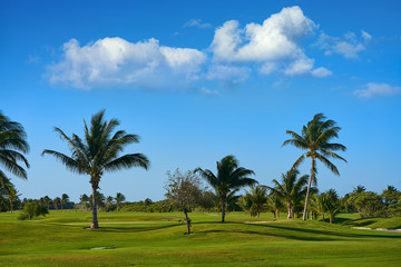 Cancun Mexico Kukulcan blvd golf course