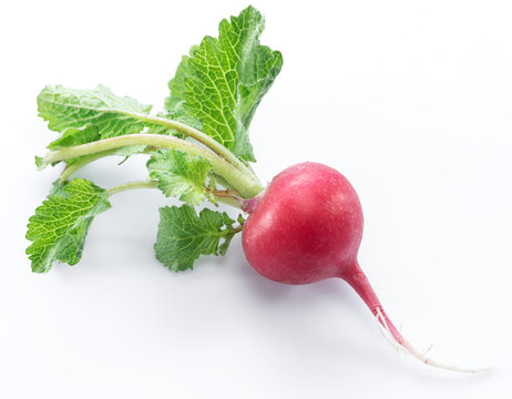 Red salad radish with leaves on the white background.